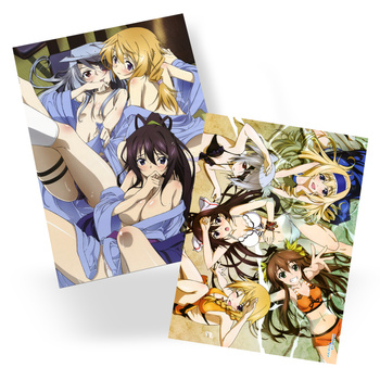 Plakat Infinite Stratos DO WYBORU