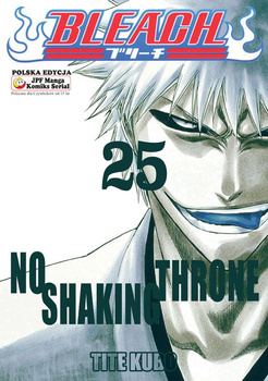 Bleach 25