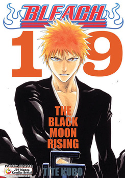 Bleach 19