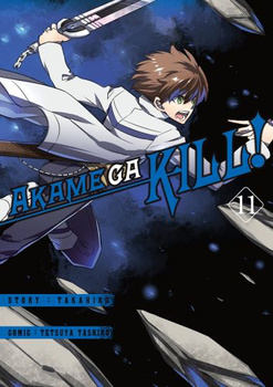 Akame Ga Kill 11