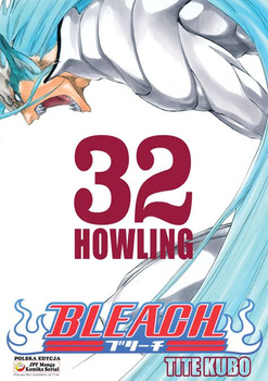 Bleach 32