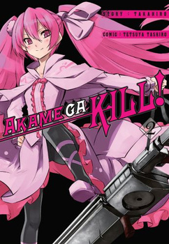 Akame Ga Kill 2