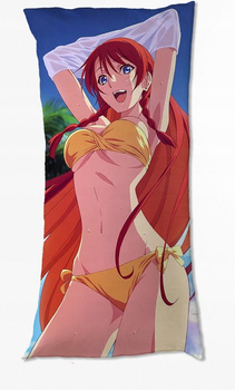 Dakimakura Re Creators DO WYBORU