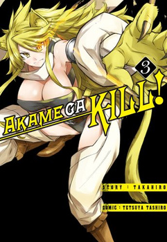 Akame Ga Kill 3