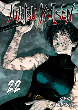 JUJUTSU KAISEN 22