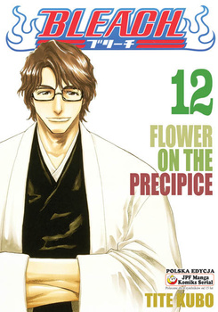 Bleach 12