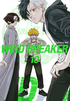 Wind Breaker 10