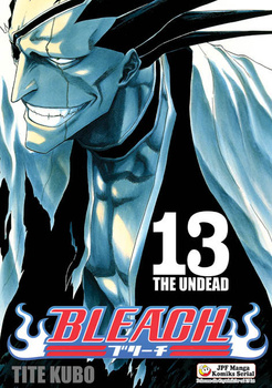 Bleach 13