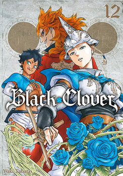 Black Clover 12