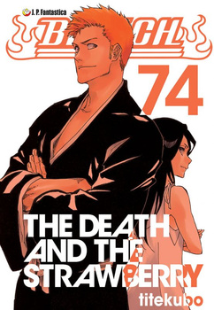 Bleach 74