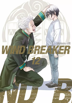 Wind Breaker 11