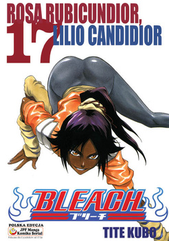 Bleach 17