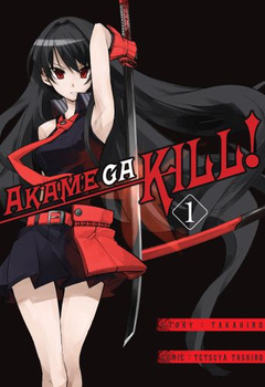 Akame Ga Kill 1