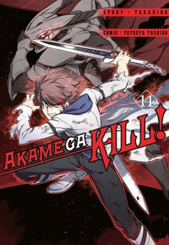 Akame Ga Kill 14