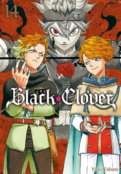 Black Clover 13