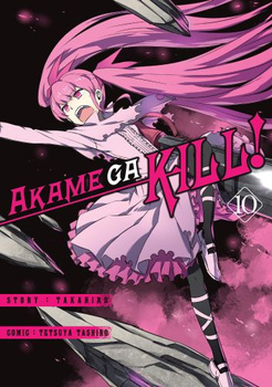 Akame Ga Kill 10