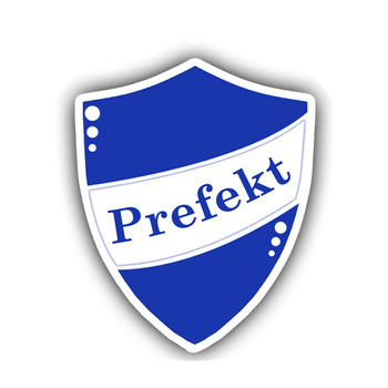 Przypinka Harry Potter