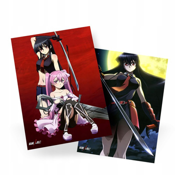 Plakat Akame ga Kill DO WYBORU