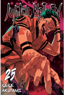 JUJUTSU KAISEN 25