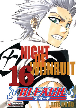 Bleach 16