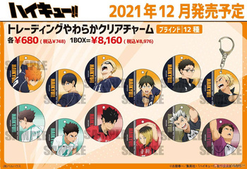 Haikyuu!!  Clear Charm