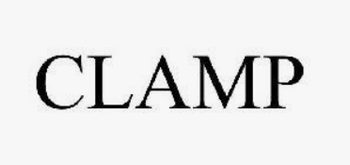 Mystery Box CLAMP - RÓŻNE WARIATNY CENOWE