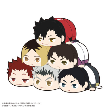 HQ-78 Haikyuu!! Potekoro Mascot 2 Plush