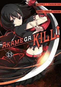 Akame Ga Kill 13