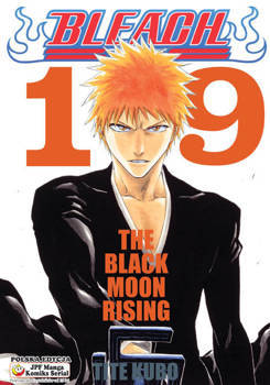 Bleach 19