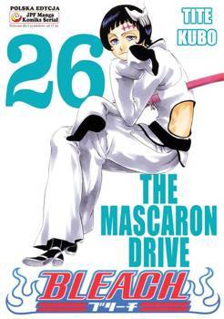 Bleach 26