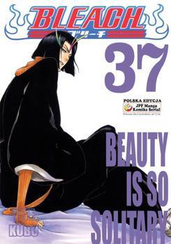 Bleach 37