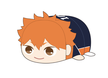 HQ-75 Haikyu!! Potekoro Mascot BigA: Shoyo Hinata