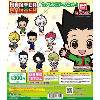 Hunter X Hunter Rubber Keychain