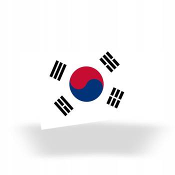 Plakat Korea DO WYBORU